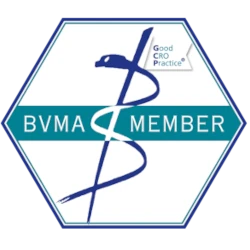 BVMA Member